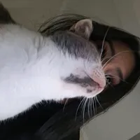 Way down we go de Kaleo