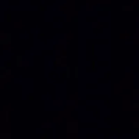 из чёрного мерина