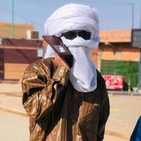 الصوت الأصلي