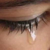 original sound - leticiamaiara455