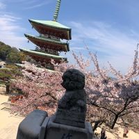 オリジナル楽曲 - しらす