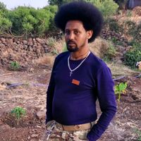 abebe1210930314987
