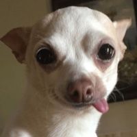 nhạc nền - to la duyenn