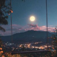 nabpon_49321