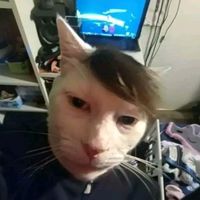 trhjitukikh0