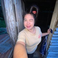 palm_palmmy191047