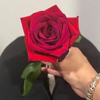 maikel_551