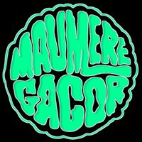 suara asli - MAUMERE gACOR 🔥