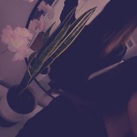 ydk_serena