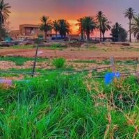 fahadm8831