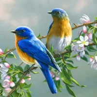 original sound - mr_rachidovich