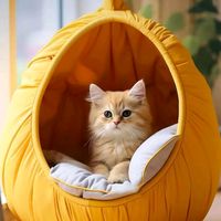 suara asli - yetti739