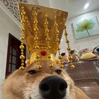 original sound - joydt