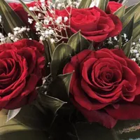 original sound - froom123111