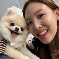 kpop49921