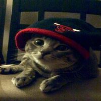 original sound - triso 🐿️