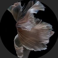 ljxl3