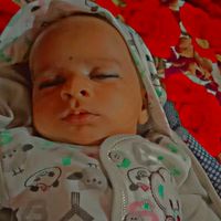 areeb.raza069
