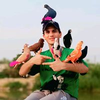 الصوت الأصلي