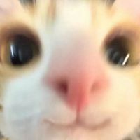 original sound - mymelody