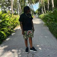 darion.v3