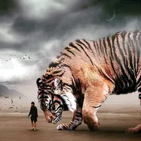 original sound - tigrejassoo