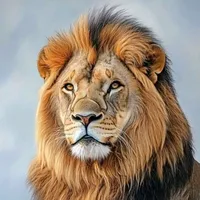 original sound - ismail.writes110