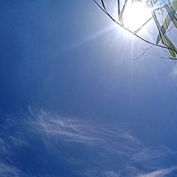 เสียงต้นฉบับ - J ชอบเสียงเพลง