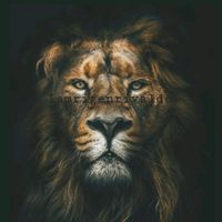 iamrigenrivaldo