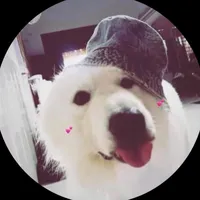original sound - tolad7777