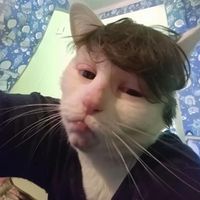 parnsohandsomeandcool