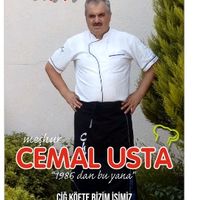 zazacemalcelik02