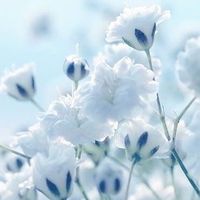 オリジナル楽曲 - ひ 奈 リ 🍯