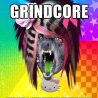 yourscenesucks