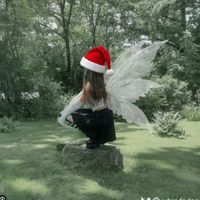 laura_elfa