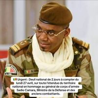 nanafofana7723