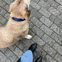 original sound - madaalamro3