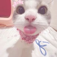 livylivyy3