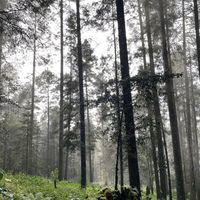 amantedenaturaleza