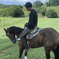thiaguinho_ms
