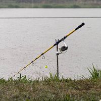 nhạc nền - Trứng anh 🖕