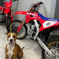 polaco.garage_