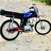 janan.824