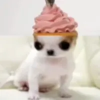 original sound - tauwomann