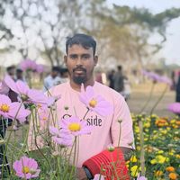 mdarfi22