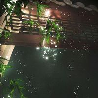 nhạc nền - Ngọn Cỏ Ven Trời