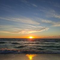 الصوت الأصلي