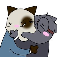 catnap_1111111