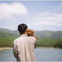 nhạc nền - CT Mussic
