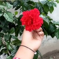 user014017221
